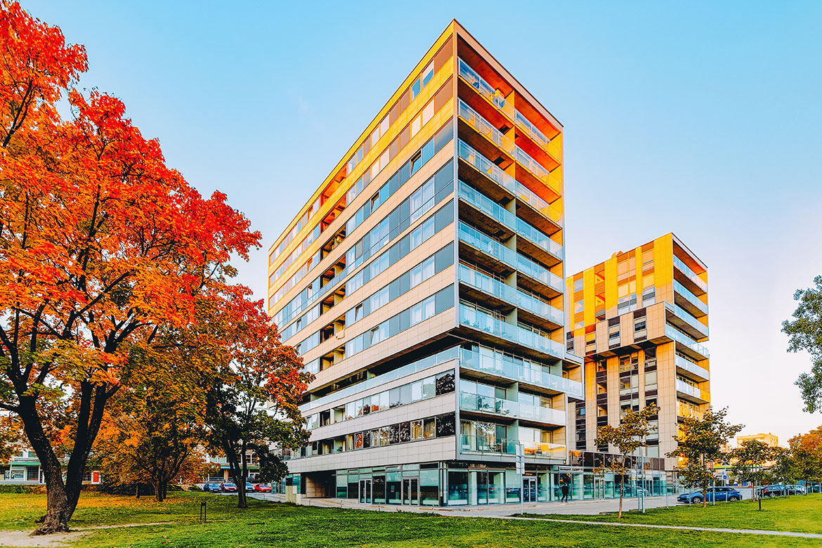 Buyer Representation